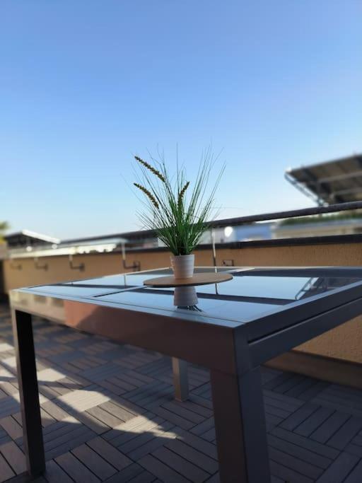 Mit Dachterrasse Apartment *