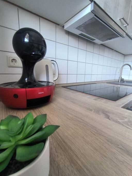 Mit Dachterrasse FDH